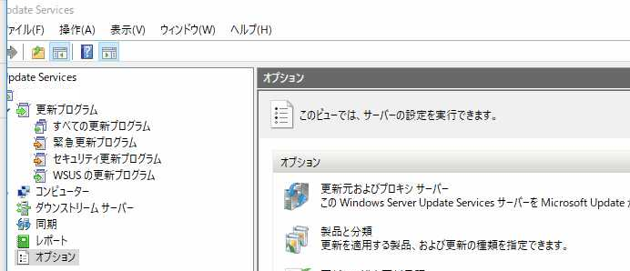 WSUS 管理コンソール オプション